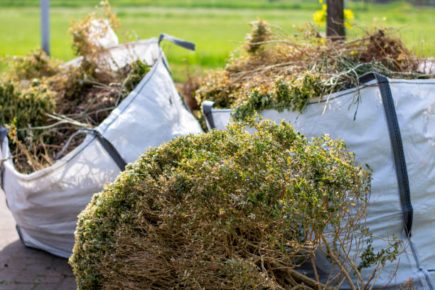 Best Same-Day Junk Removal  in Frazer, PA